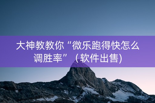 大神教教你“微乐跑得快怎么调胜率”（软件出售)