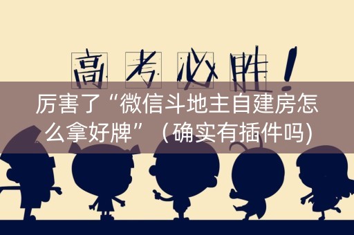 厉害了“微信斗地主自建房怎么拿好牌”（确实有插件吗)