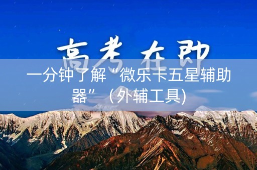 一分钟了解“微乐卡五星辅助器”（外辅工具)