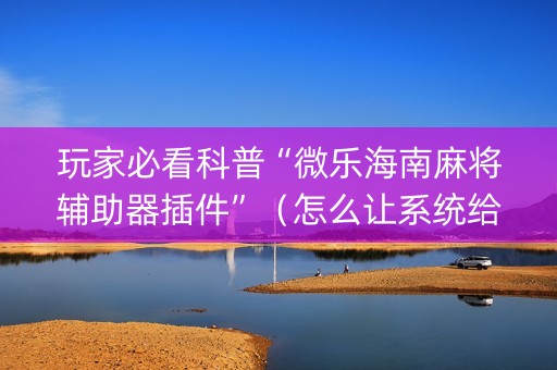 玩家必看科普“微乐海南麻将辅助器插件”（怎么让系统给自己好牌)