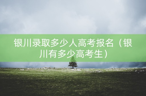 银川录取多少人高考报名（银川有多少高考生）