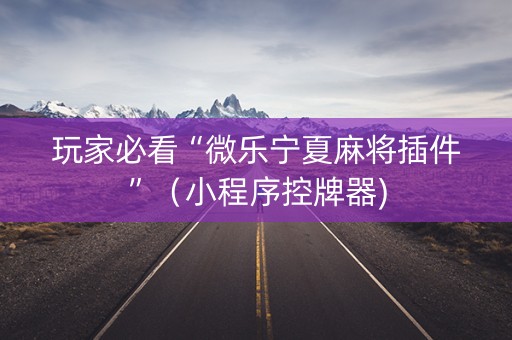 玩家必看“微乐宁夏麻将插件”（小程序控牌器)