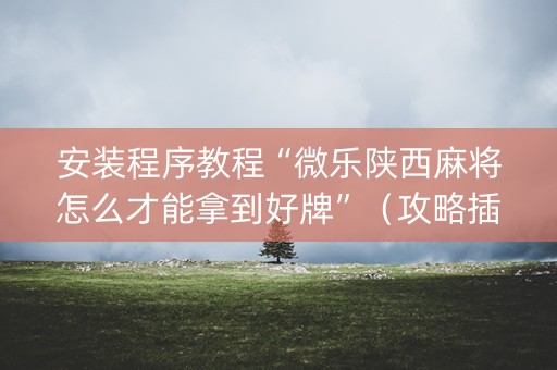 安装程序教程“微乐陕西麻将怎么才能拿到好牌”（攻略插件)