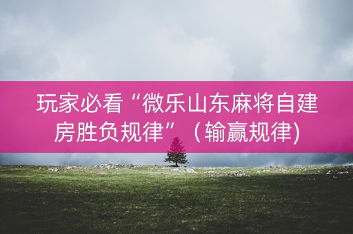 玩家必看“微乐山东麻将自建房胜负规律”（输赢规律)