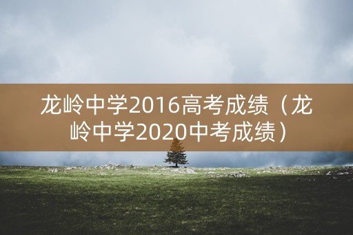 龙岭中学2016高考成绩（龙岭中学2020中考成绩）