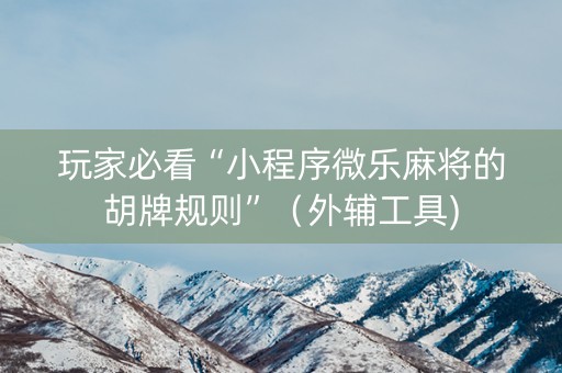玩家必看“小程序微乐麻将的胡牌规则”（外辅工具)