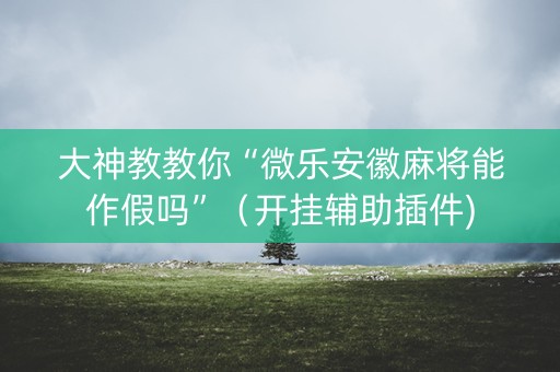 大神教教你“微乐安徽麻将能作假吗”（开挂辅助插件)