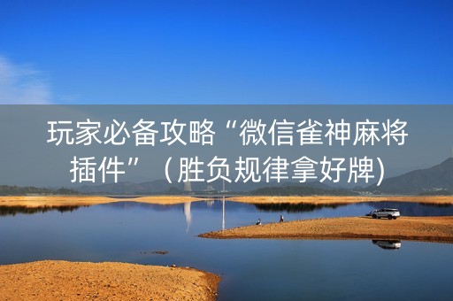 玩家必备攻略“微信雀神麻将插件”（胜负规律拿好牌)