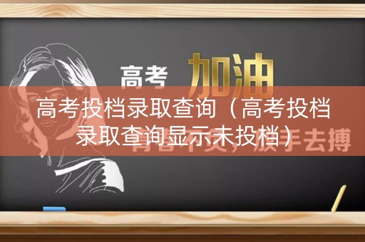 高考投档录取查询（高考投档录取查询显示未投档）