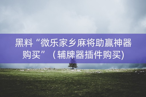 黑料“微乐家乡麻将助赢神器购买”（辅牌器插件购买)