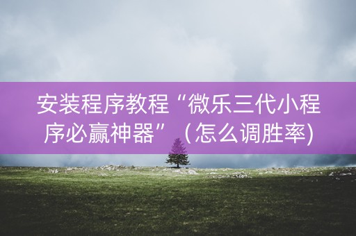 安装程序教程“微乐三代小程序必赢神器”（怎么调胜率)