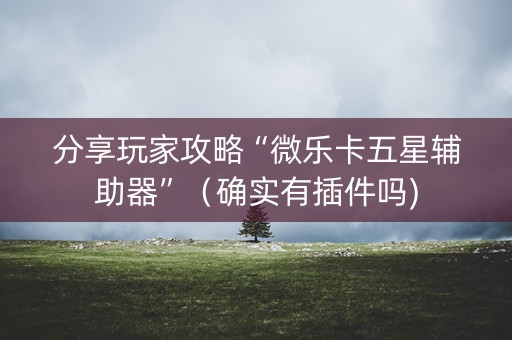 分享玩家攻略“微乐卡五星辅助器”（确实有插件吗)