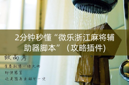 2分钟秒懂“微乐浙江麻将辅助器脚本”（攻略插件)