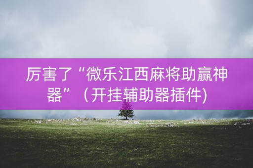 厉害了“微乐江西麻将助赢神器”（开挂辅助器插件)