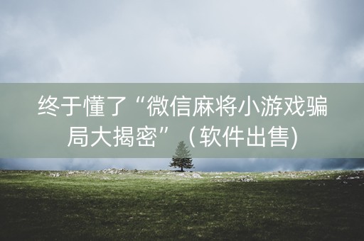 终于懂了“微信麻将小游戏骗局大揭密”（软件出售)