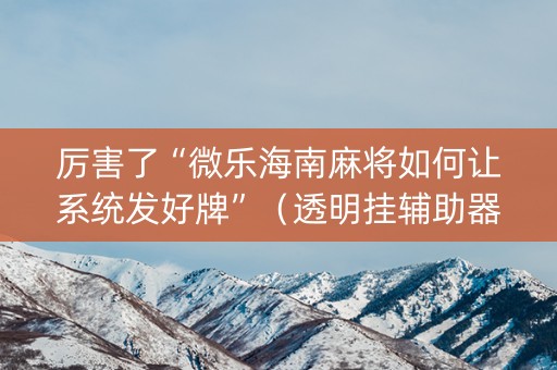 厉害了“微乐海南麻将如何让系统发好牌”（透明挂辅助器)