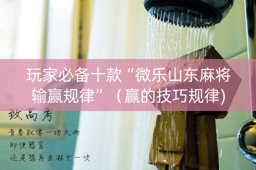 玩家必备十款“微乐山东麻将输赢规律”（赢的技巧规律)