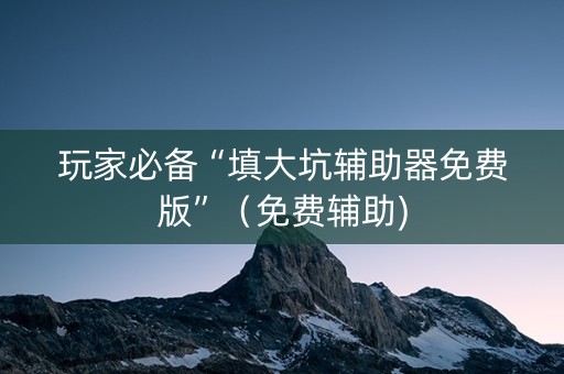 玩家必备“填大坑辅助器免费版”（免费辅助)