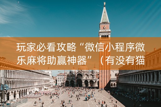 玩家必看攻略“微信小程序微乐麻将助赢神器”（有没有猫腻)