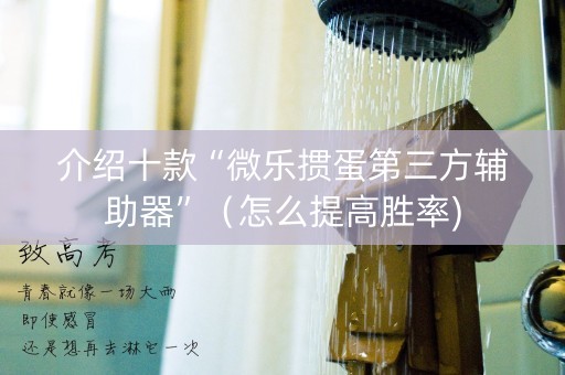 介绍十款“微乐掼蛋第三方辅助器”（怎么提高胜率)