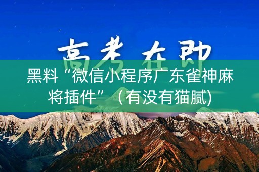 黑料“微信小程序广东雀神麻将插件”（有没有猫腻)