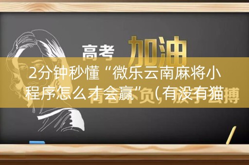 2分钟秒懂“微乐云南麻将小程序怎么才会赢”（有没有猫腻)