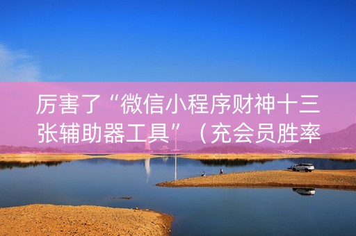 厉害了“微信小程序财神十三张辅助器工具”（充会员胜率高)