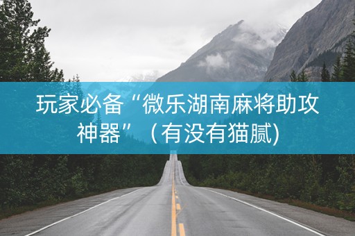 玩家必备“微乐湖南麻将助攻神器”（有没有猫腻)