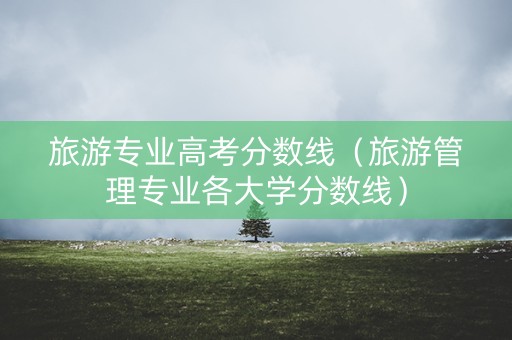 旅游专业高考分数线（旅游管理专业各大学分数线）