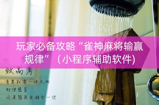 玩家必备攻略“雀神麻将输赢规律”（小程序辅助软件)