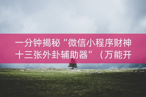 一分钟揭秘“微信小程序财神十三张外卦辅助器”（万能开挂神器)