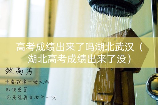 高考成绩出来了吗湖北武汉（湖北高考成绩出来了没）
