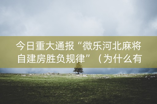 今日重大通报“微乐河北麻将自建房胜负规律”（为什么有人一直赢)