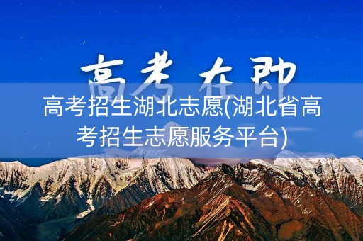 高考招生湖北志愿(湖北省高考招生志愿服务平台)