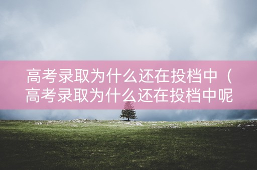 高考录取为什么还在投档中（高考录取为什么还在投档中呢）