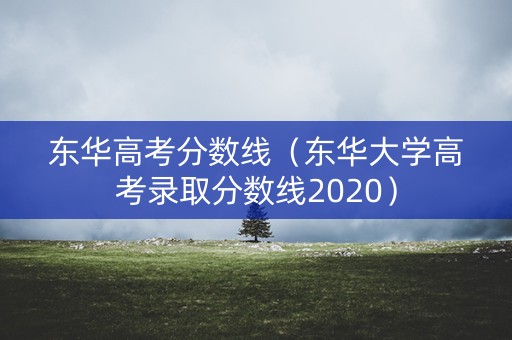 东华高考分数线（东华大学高考录取分数线2020）