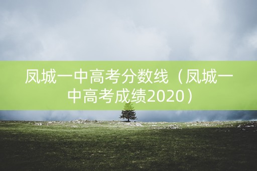 凤城一中高考分数线（凤城一中高考成绩2020）