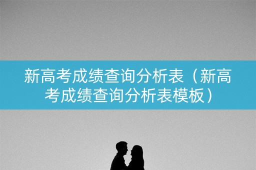 新高考成绩查询分析表（新高考成绩查询分析表模板）