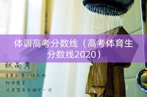 体训高考分数线（高考体育生分数线2020）