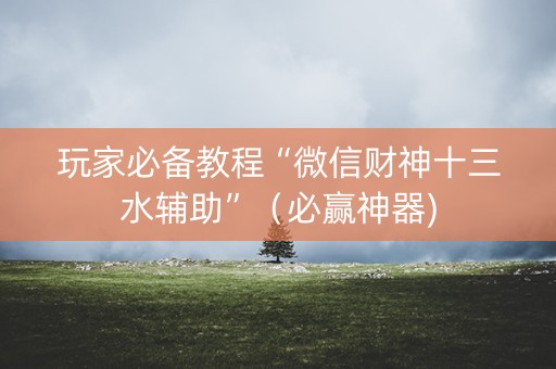 玩家必备教程“微信财神十三水辅助”（必赢神器)