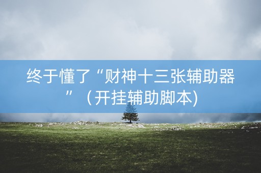 终于懂了“财神十三张辅助器”（开挂辅助脚本)