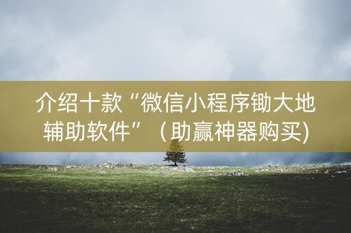 介绍十款“微信小程序锄大地辅助软件”（助赢神器购买)
