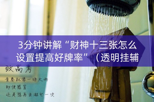 3分钟讲解“财神十三张怎么设置提高好牌率”（透明挂辅助器)