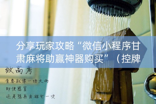 分享玩家攻略“微信小程序甘肃麻将助赢神器购买”（控牌神器)