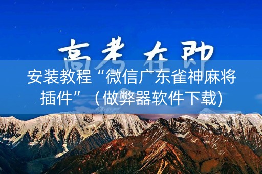 安装教程“微信广东雀神麻将插件”（做弊器软件下载)
