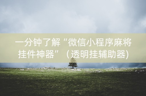 一分钟了解“微信小程序麻将挂件神器”（透明挂辅助器)