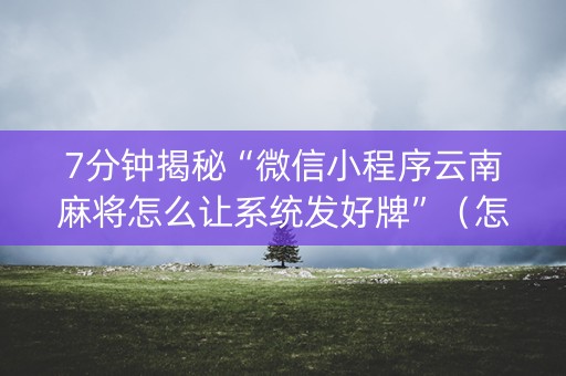 7分钟揭秘“微信小程序云南麻将怎么让系统发好牌”（怎么增加胜率)