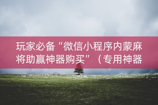 玩家必备“微信小程序内蒙麻将助赢神器购买”（专用神器)