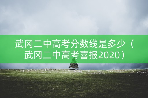 武冈二中高考分数线是多少（武冈二中高考喜报2020）