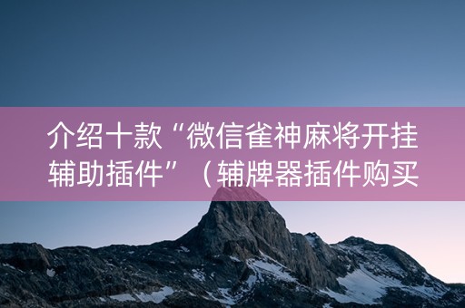 介绍十款“微信雀神麻将开挂辅助插件”（辅牌器插件购买)